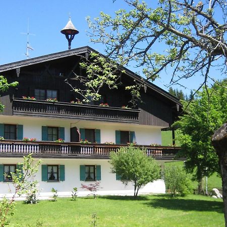 Апартаменти Ciao-Aschau Gschwendtnerhof Ap20 Bunk Ашау-ім-Кімгау Екстер'єр фото